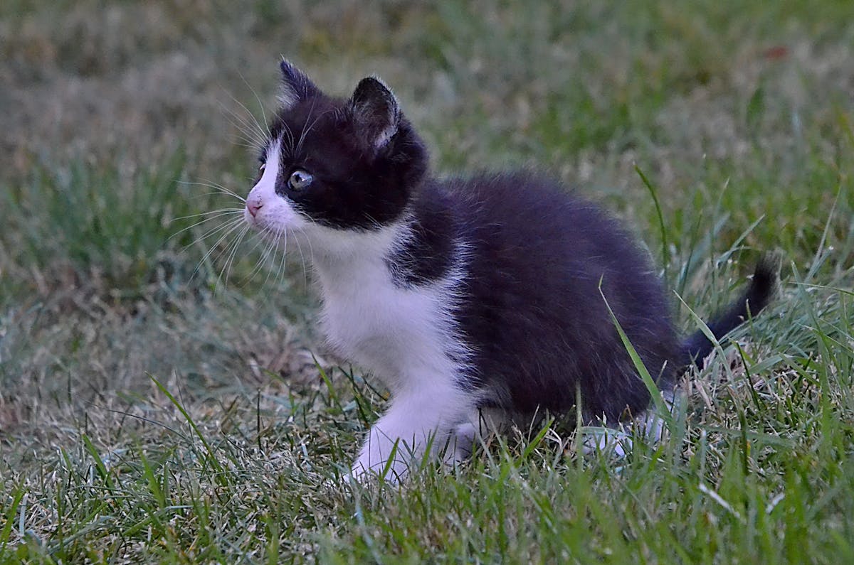 ¿Arándanos en todo rincón? ¡Colombia se vuelve el nuevo hotspo...