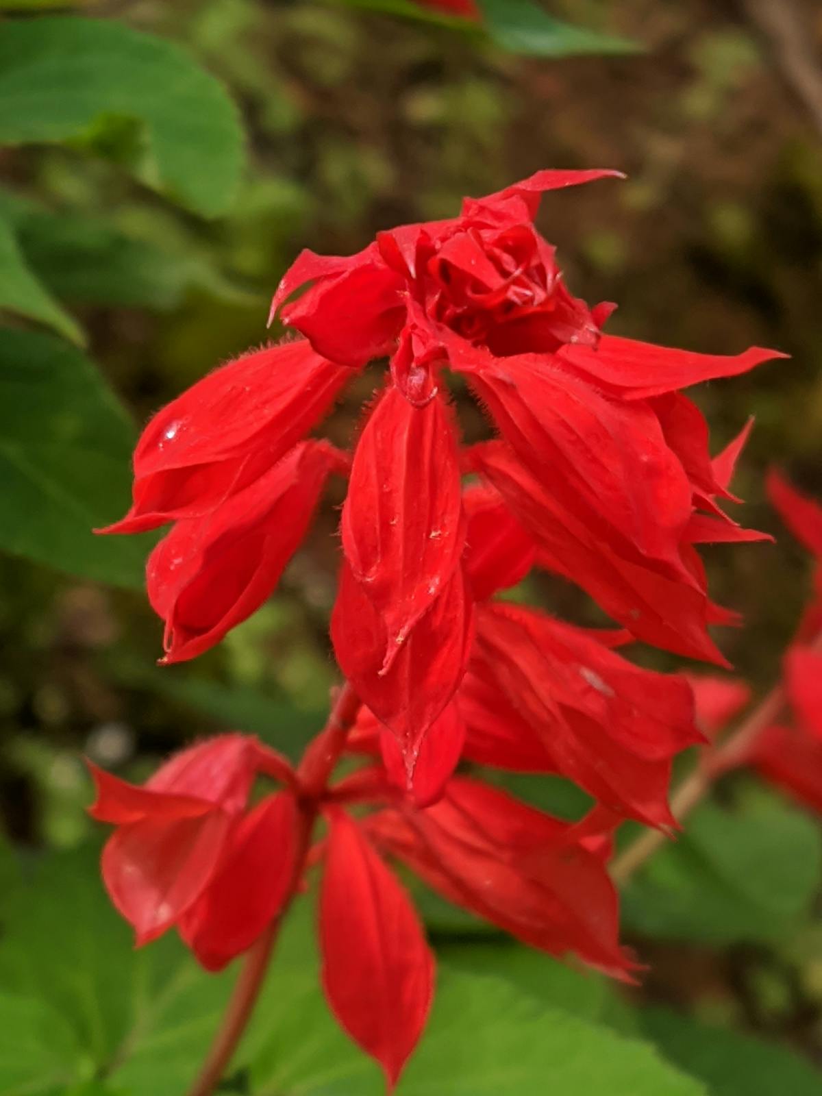 ¿Sabes que Fercho te está trayendo los destinos más mágicos de...