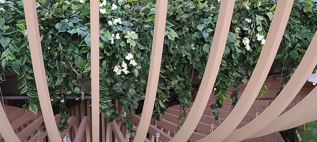 ¿CDMX Tiene un Plan General o Solo Está En Fuga?