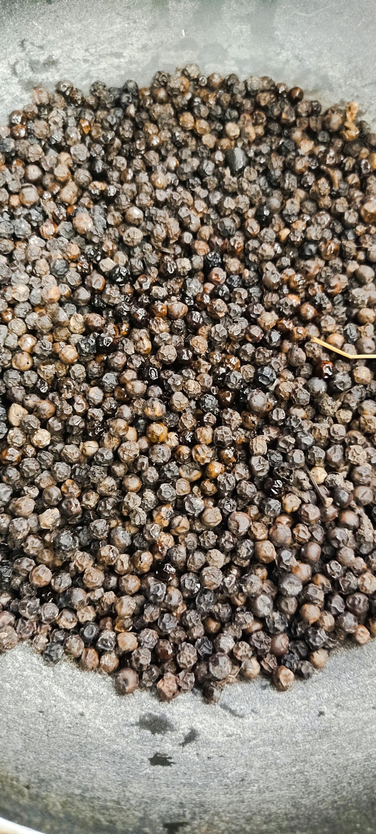 El Alcalde de Tequila que Paga a los Bandidos 🚫 ¿Es Nuestro Je...