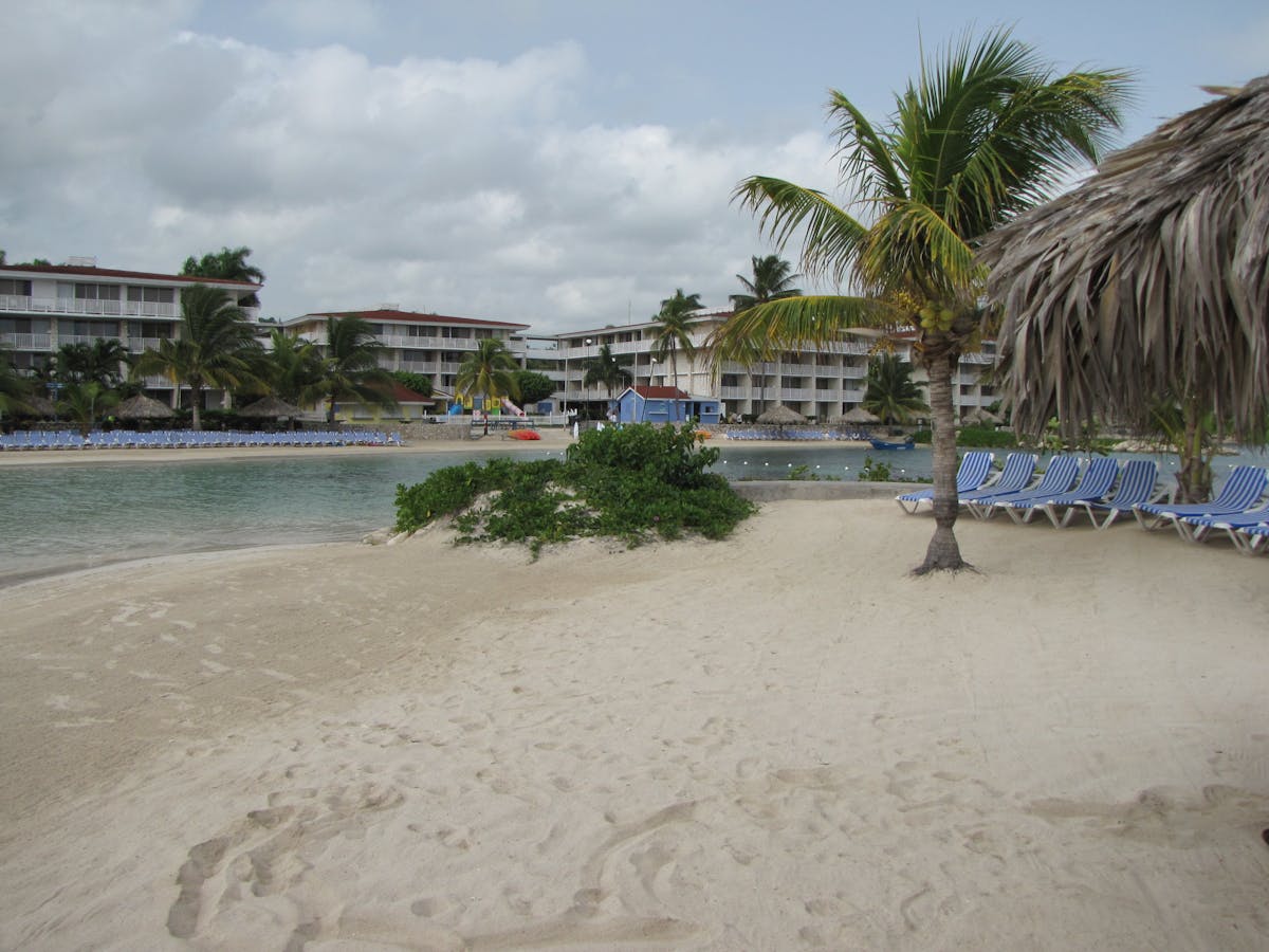 🎵 ¿Se Desconocen o Se Esconden en Donostia?