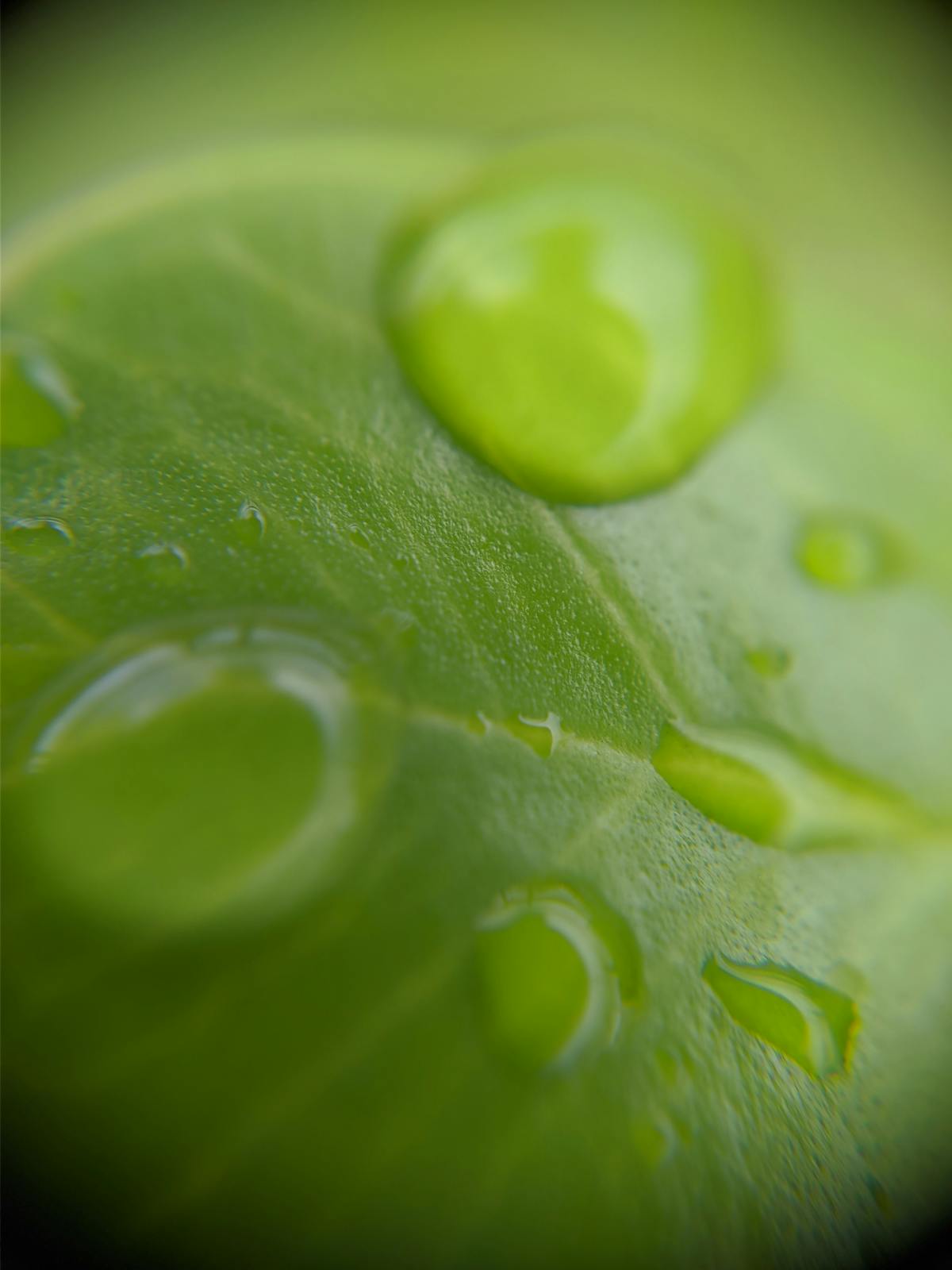 😱 ¡Peso Fortísimo! ¿Es el nuevo rey de las exportaciones mexic...