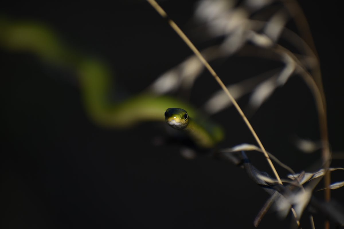 🌨️ ¿Listos para el Invierno de los Recuerdos?