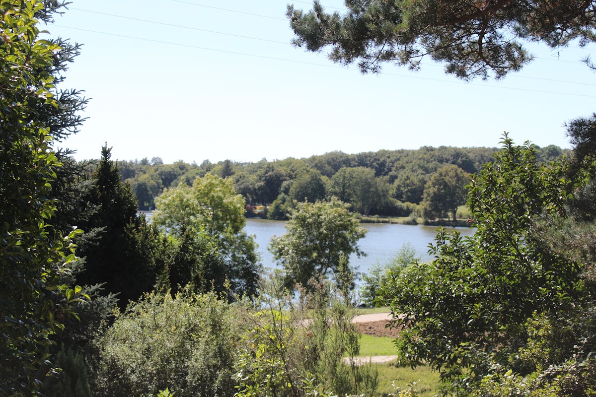 Esto es oro: Shakira revoluciona el concierto virtual y na...