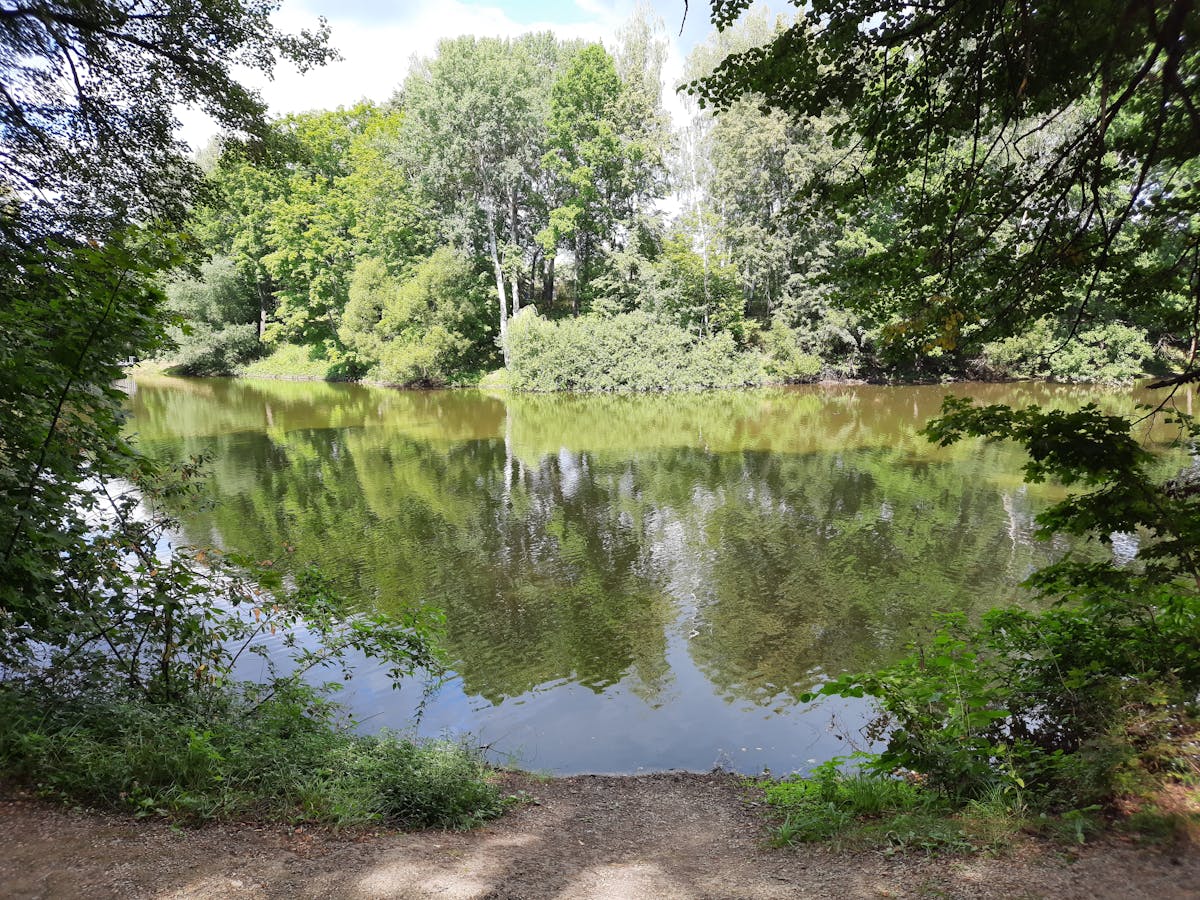 ¿Hace Pasta Fresca en Casa o Solo Comprás?