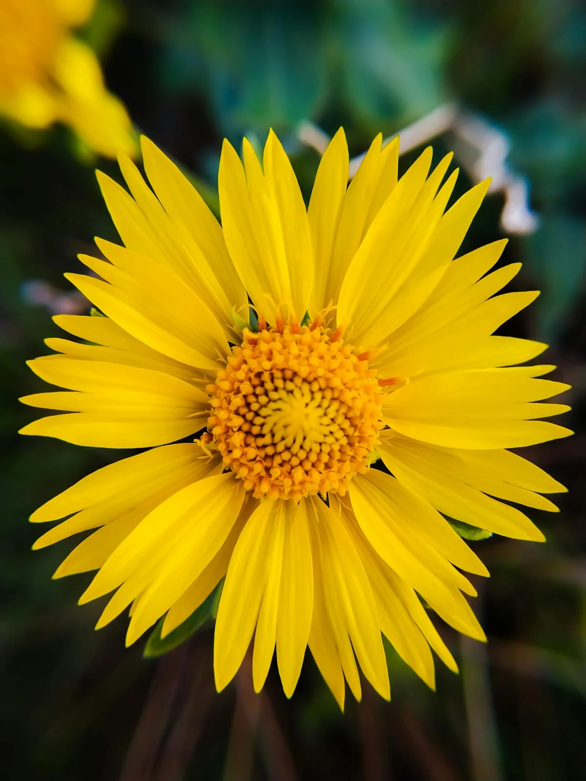 🚨 ¿El Mencho se fue, pero ¿y el problema?