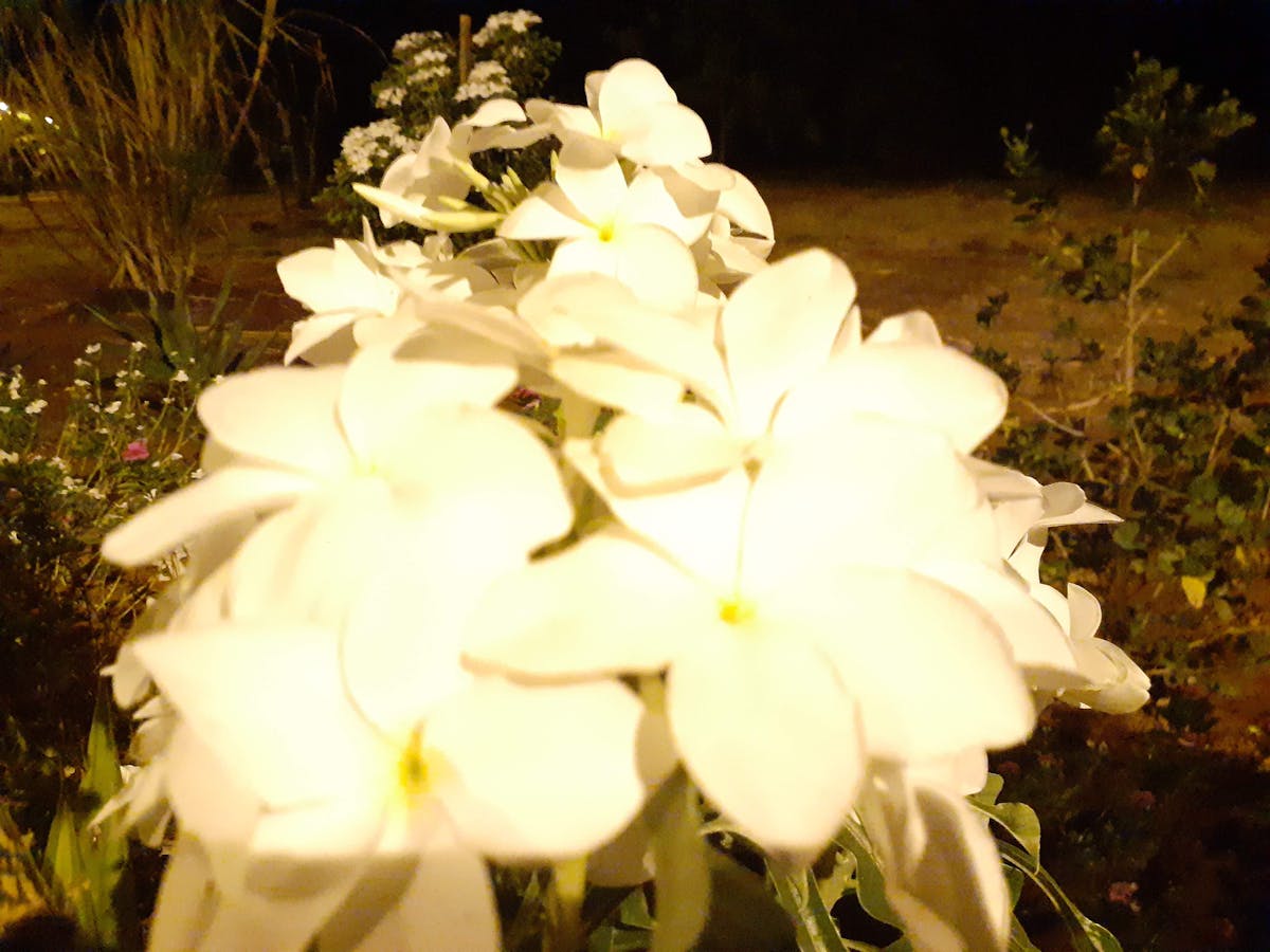 No sé si me estoy metiendo en esto 😂 ¿Mike Ness se está c...