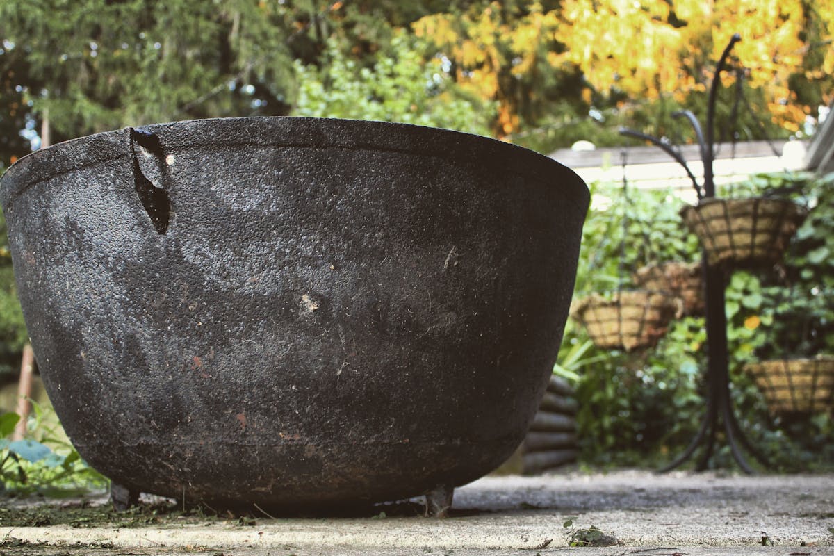 😱 ¿Cuántas familias de California tendrán un techo seguro ...