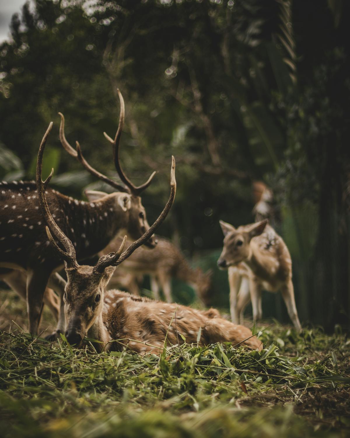 ¡¿60 años de fiesta y todavía no se va? 🤣 Edmund Stoiber, soci...