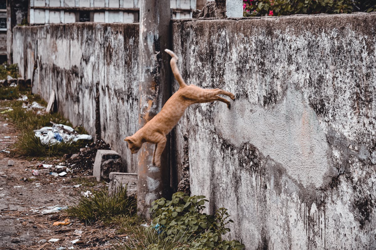 ¡Prepárate para el caos! 🕰️ ¿Tu reloj va a volar con la hora d...