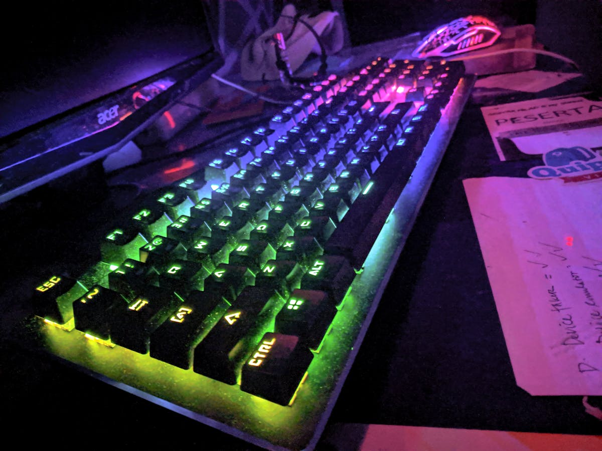 ¿Aguas con esto? Puma Enfrentó a Vecinos en Hudson 🔍