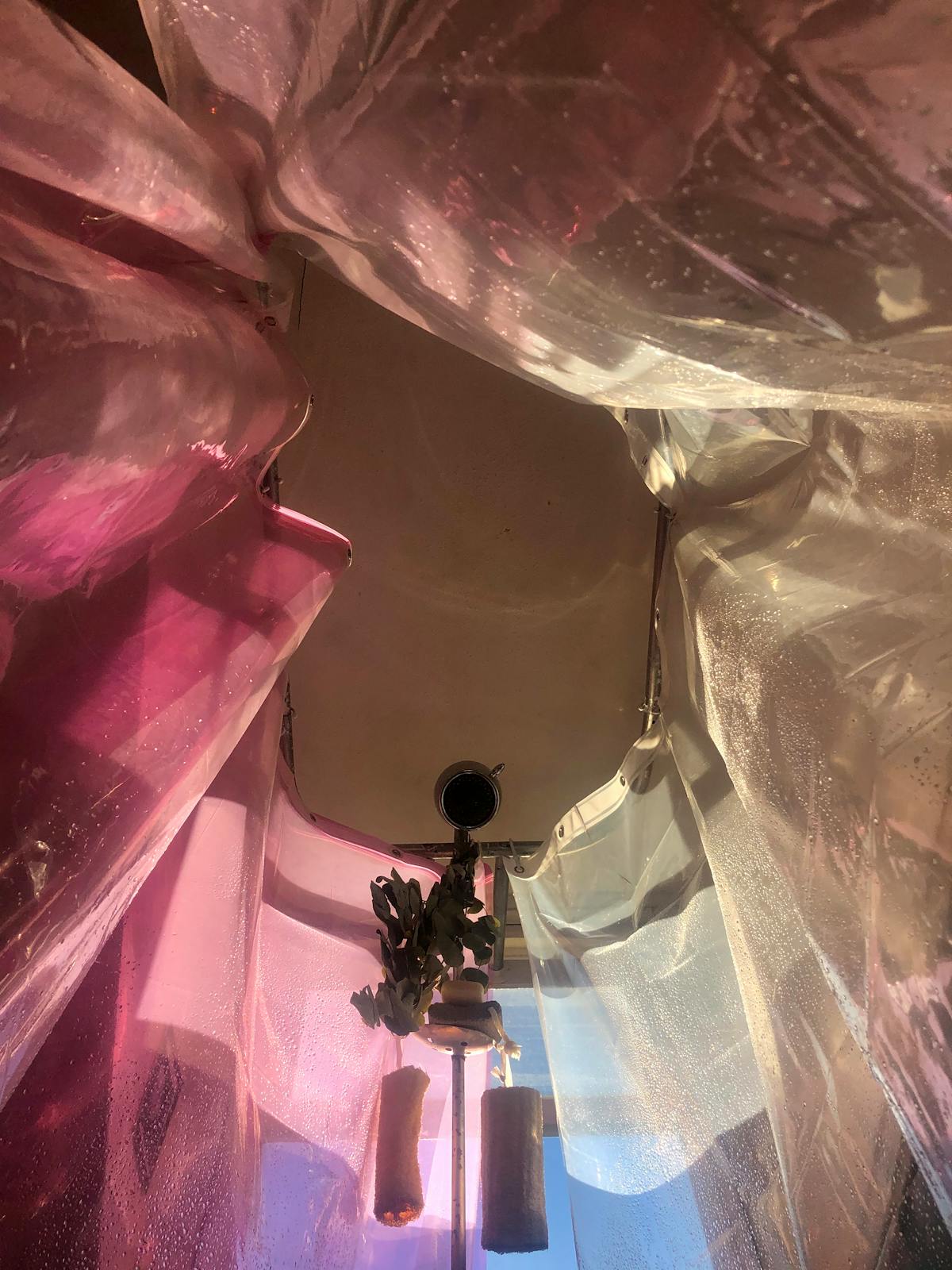 ¿ABBA vs Coldplay? El Duelo Musical de los Abuelos Digital...