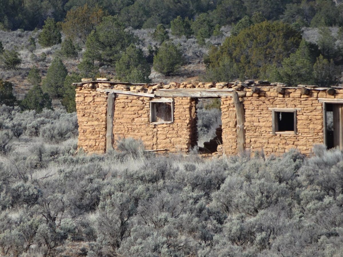 ¿Alguien más se quedó sin teléfono en el concierto de Shakir...