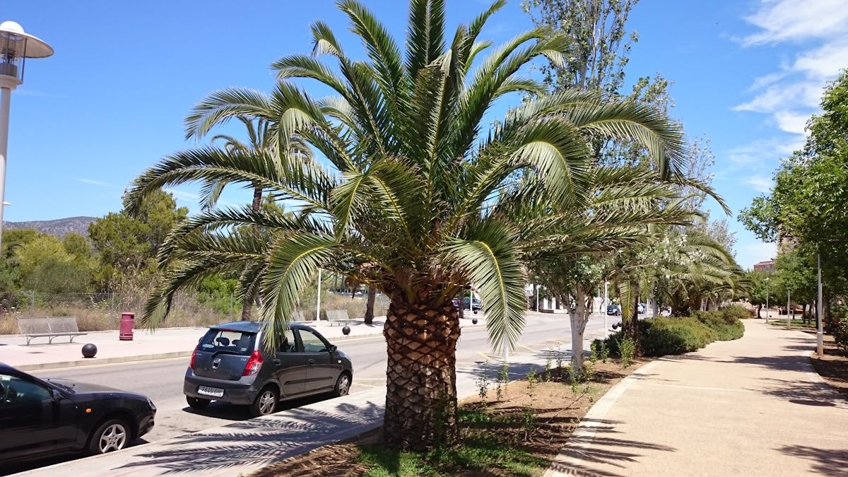 ¡Ay, Caramba! 💁‍♀️ ¿Con perfume te arregla el ex?