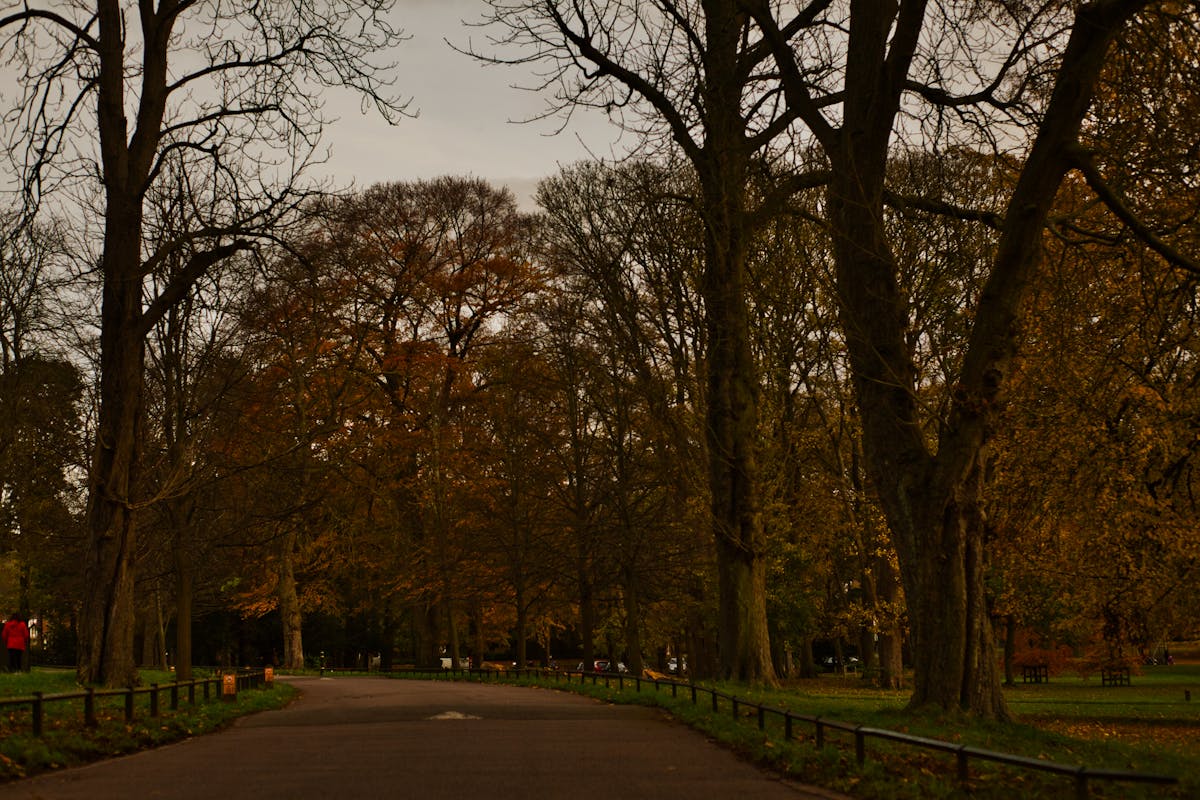 ¿Zapopan 2026 Está al Lado del Progreso o Solo Es la #Maña...