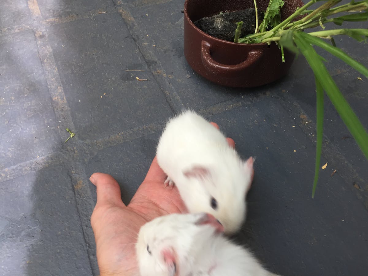 🚩 ¿Te Olvidas Tus Pertenencias Al Salir del Hotel? ¡Chale!...