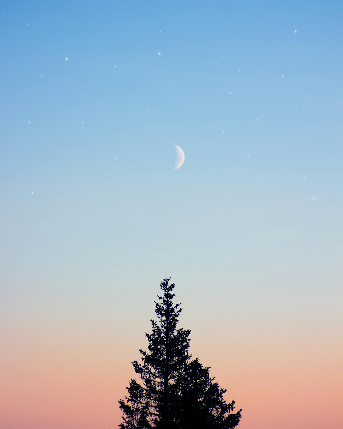 ¿Eres un tortuguero o tienes presión arterial alta? 💉