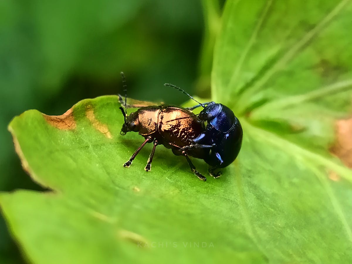 ¿Messi o Leclerc? ¿Qué es más peligroso para el deporte?</...