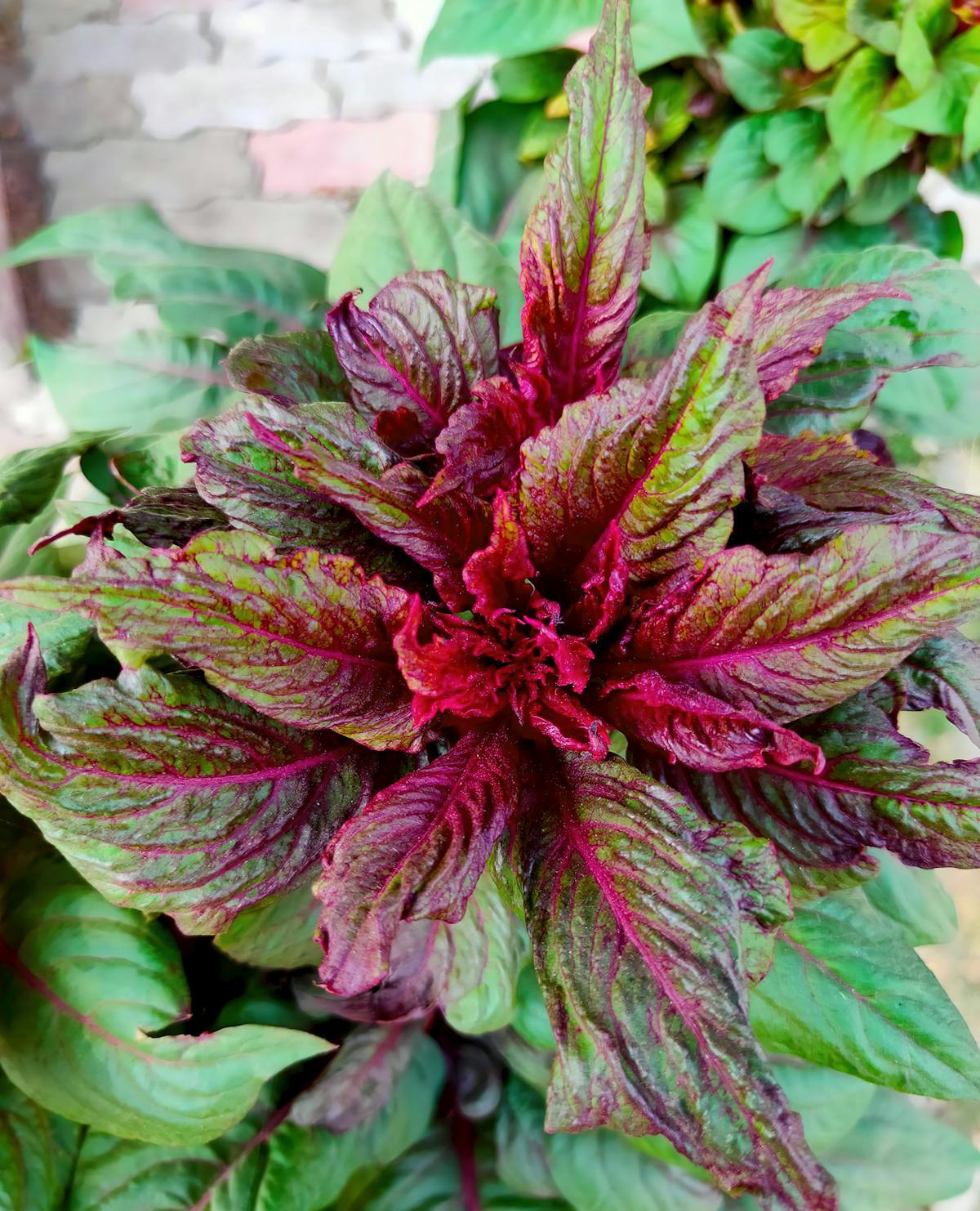 ¿Te Importa Si tu Futbolín Fue Hackeado? ⚽️🤖