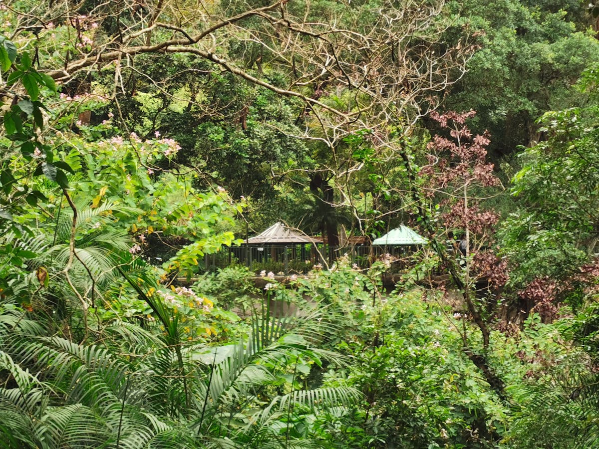 ¿100 mil mdd para FIFA o Ropa para los pobres? 17...