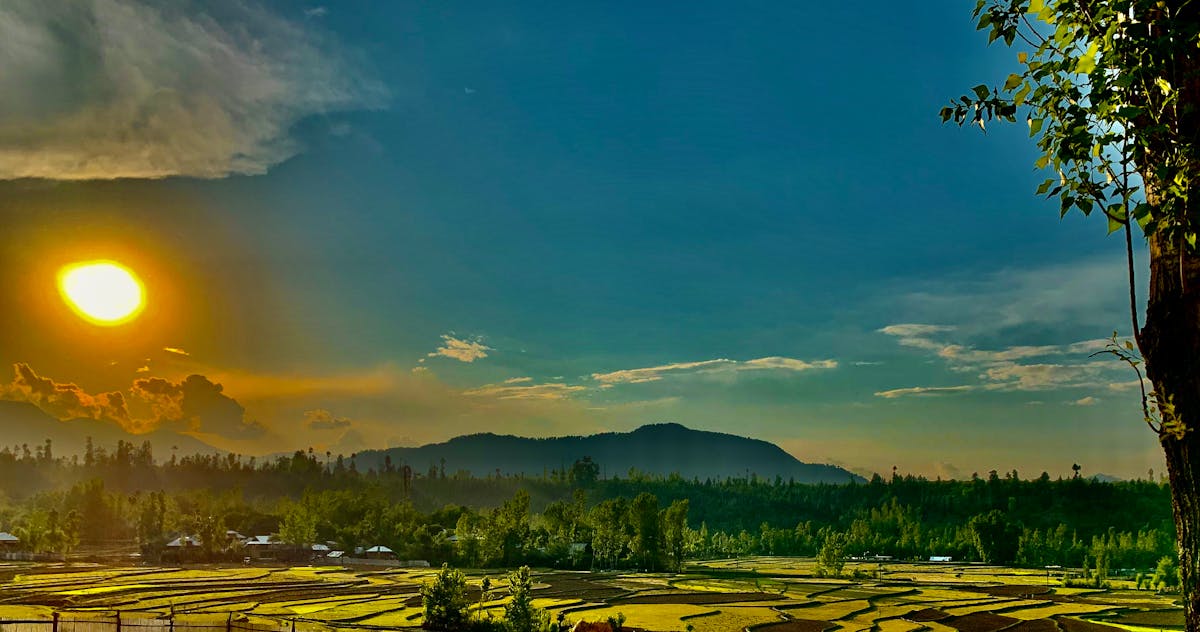 ¿Se te Agotó el Dinero por Gasolina? El Precio Subió de Nu...