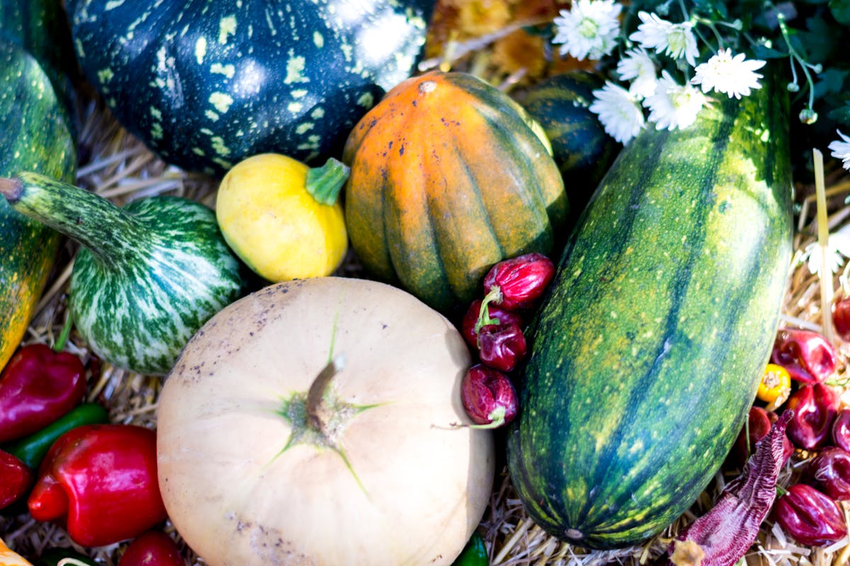 🚫 ¿Trump sigue siendo el Jefe de los Gobernadores?