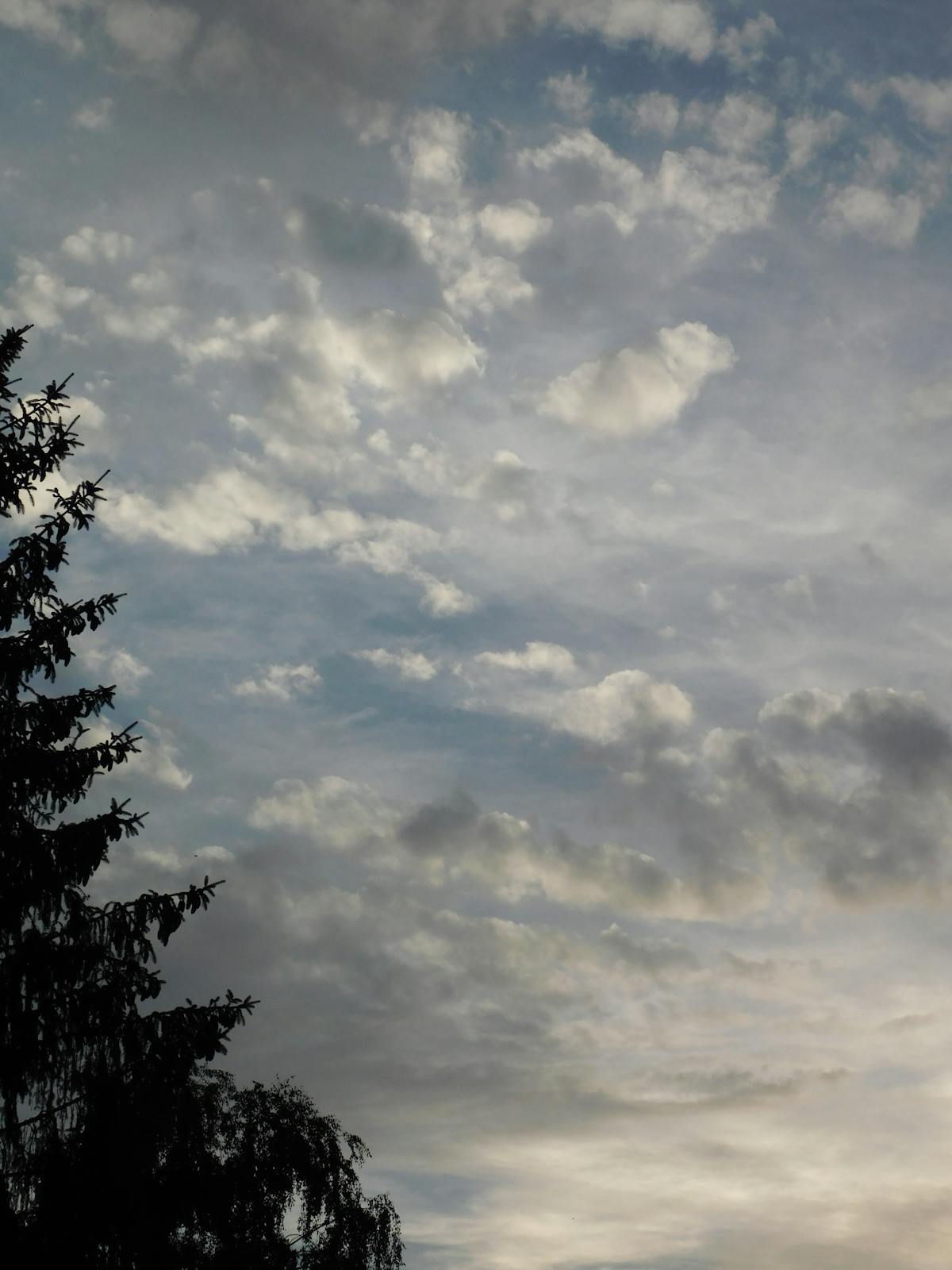 ¿Trump Sabe Qué Pasa en Cuba o Solo Mira Películas de Espí...