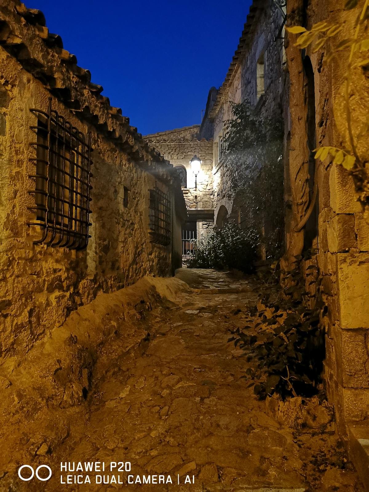 ¿Los abogados de Trump se estan matando? 🤯