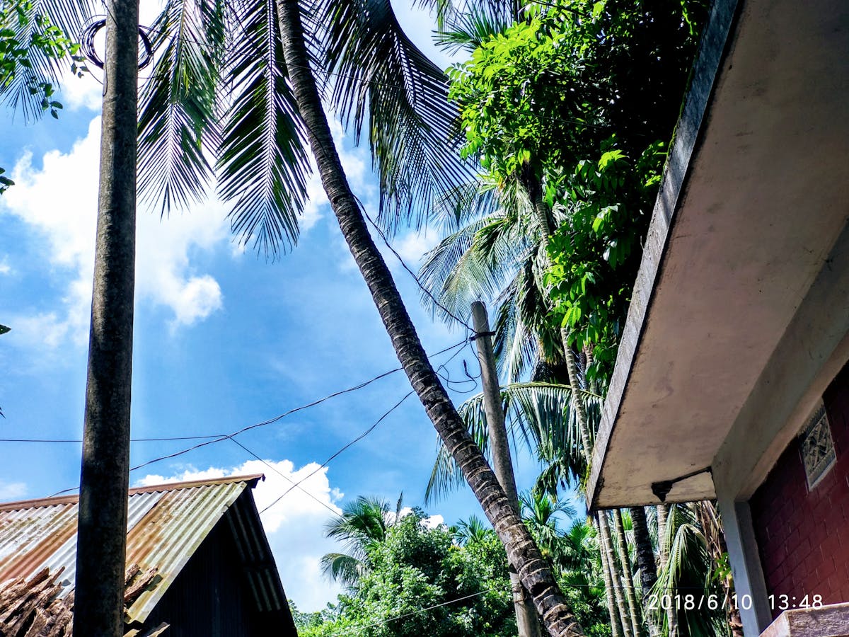 ¿Se siente la temperatura de la crisis climática en Lima? 🌀 ¿E...