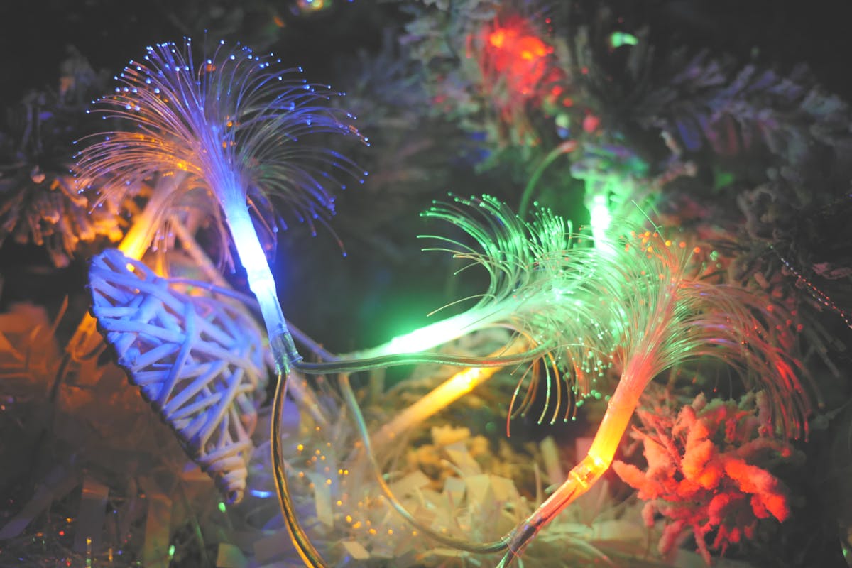 ¿Pagarás 100% de comisiones en Binance o tienes un plan? 🔥