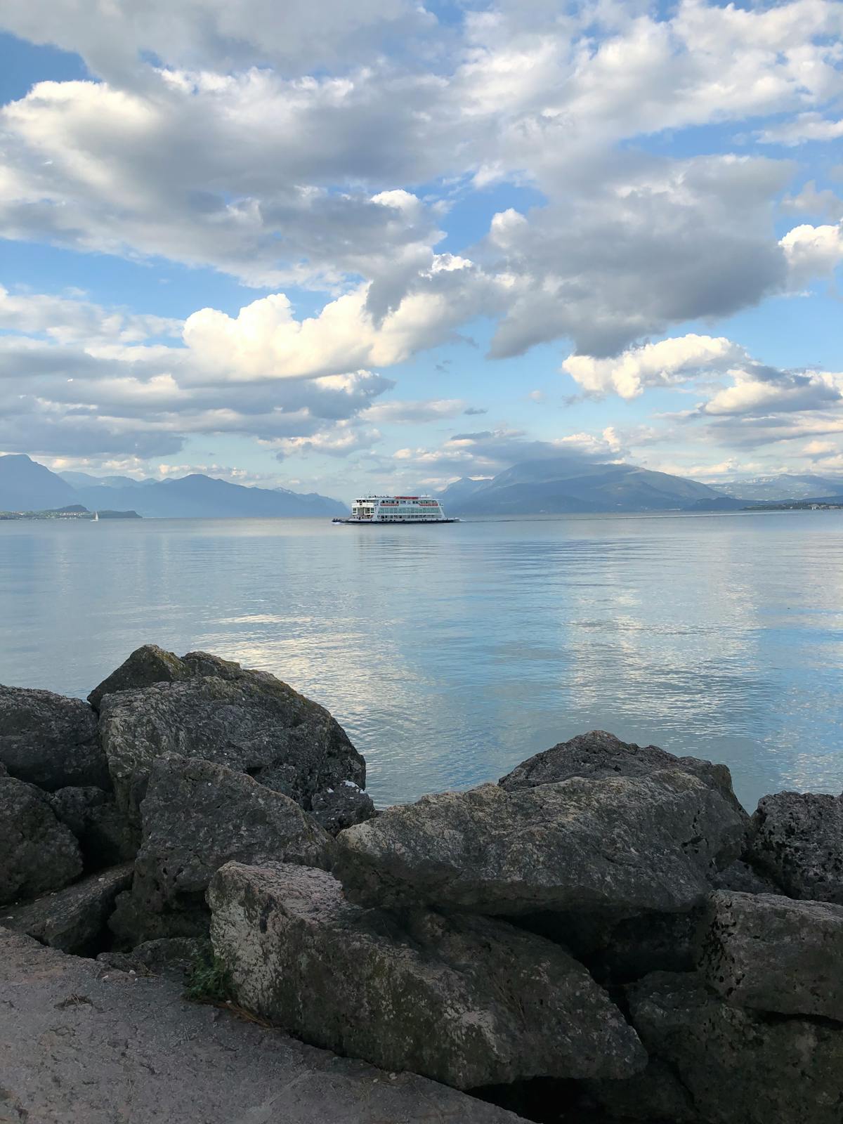 ¿Tu Bichón Maltés Es El Sheriff del Parque o Solo Cachiful...