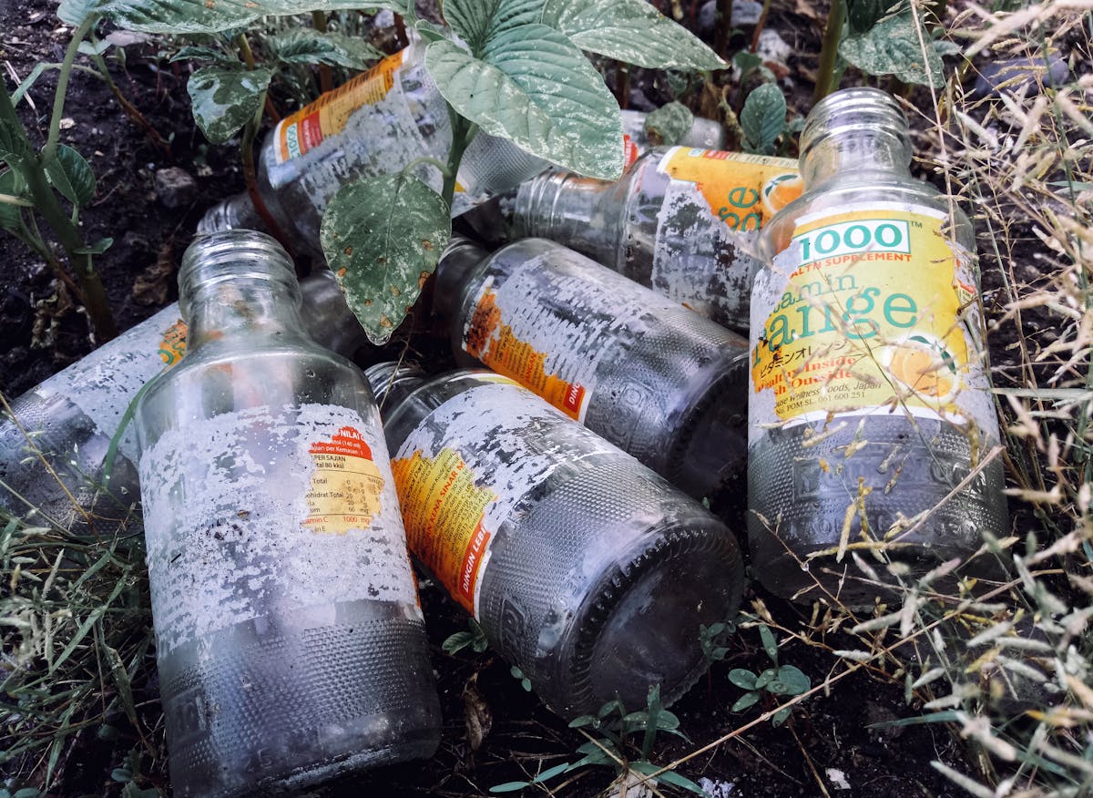 ¡Chabacano! 🌪️ ¿La sequía en Guatemala también se lleva a los ...