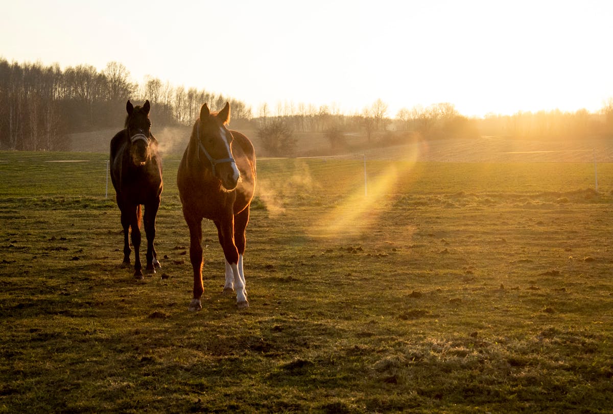 ¿Eyeliner a los 60? ¡No mames! La maquilladora An...
