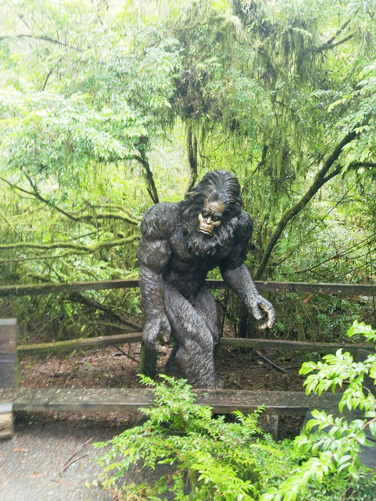 ¿Mexicobeis se Preparan para el #ClásicoMundial de Beisbol con...