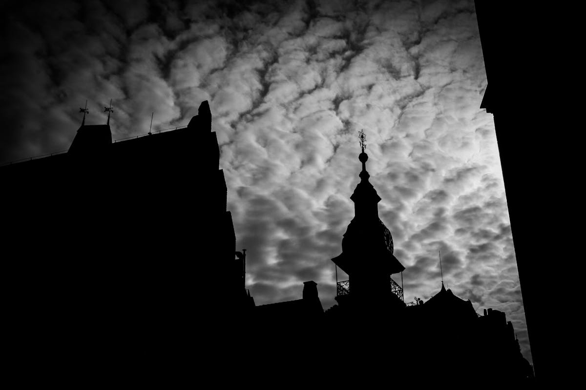 ¿Conciertos virtuales son la nueva normal o ya no es el <s...