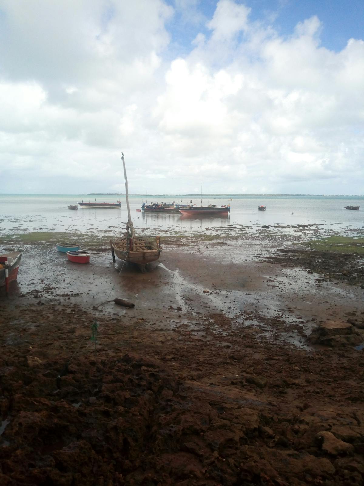 ¿Por qué tu tío sigue tratando de vender criptomonedas en ...