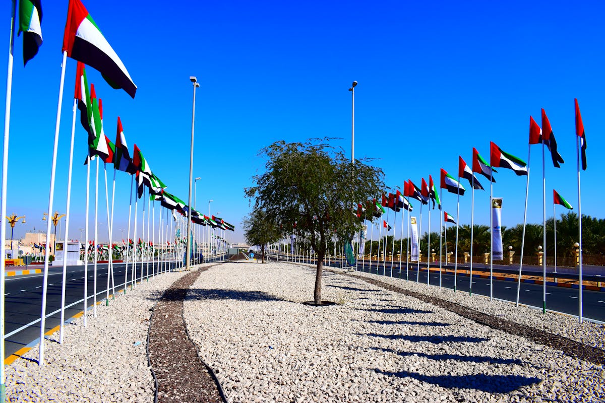 ¿Alemania Tiene Ciberseguridad o Solo Finge mientras Trump...