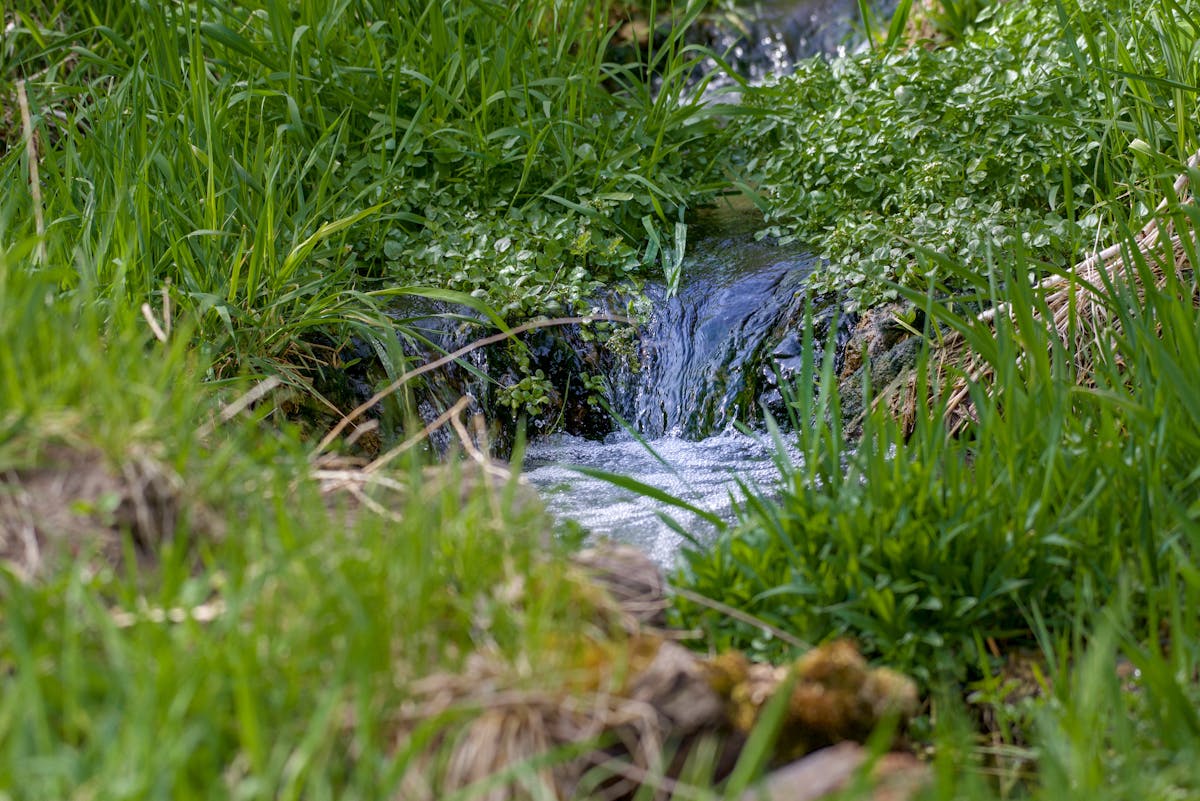 ¿Tú crees que conoces el amor o solo finges? 💔