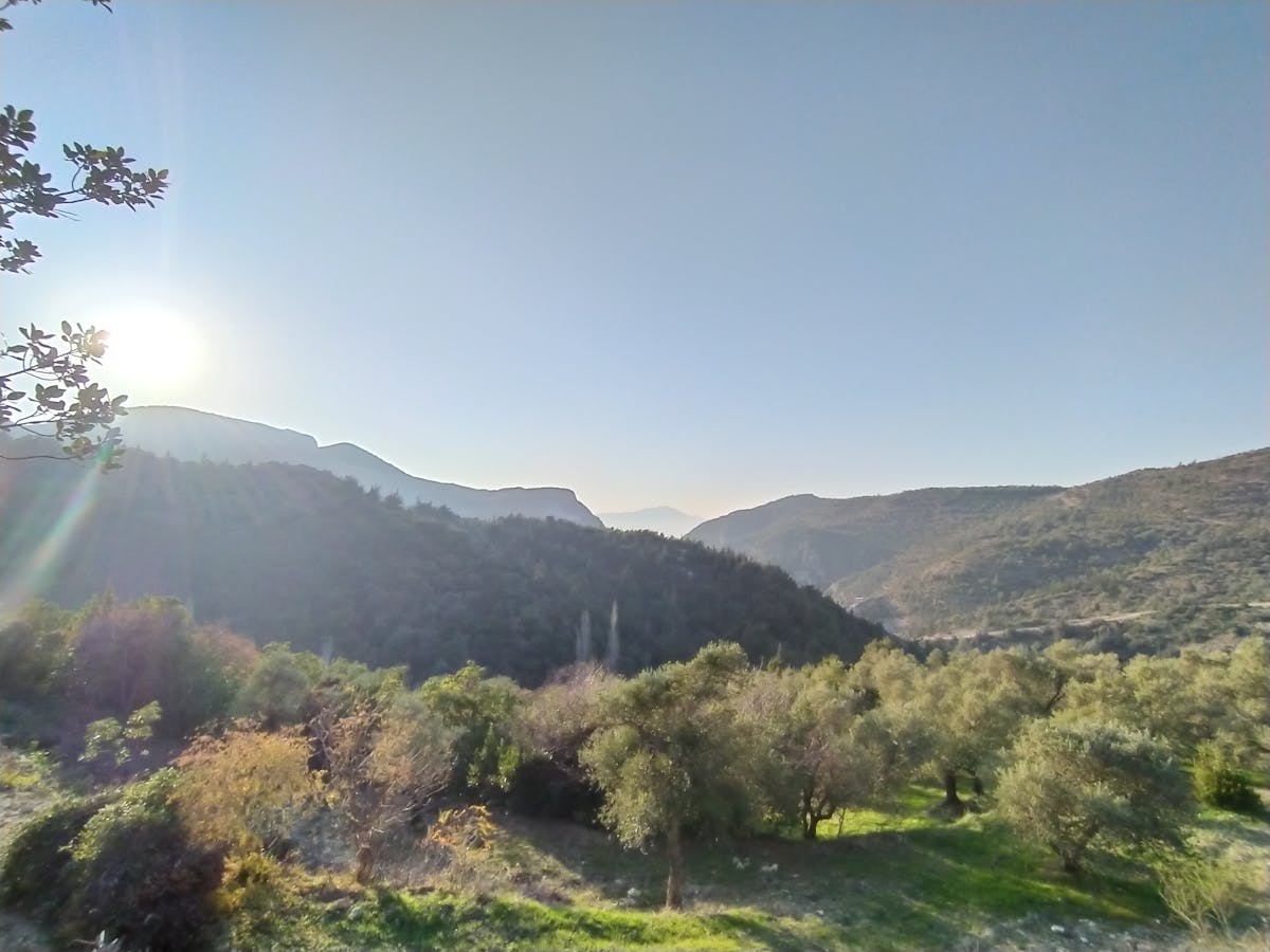 ¿Puedes hacer espaguetis a la carbonara mejor que Raquel Bollo...