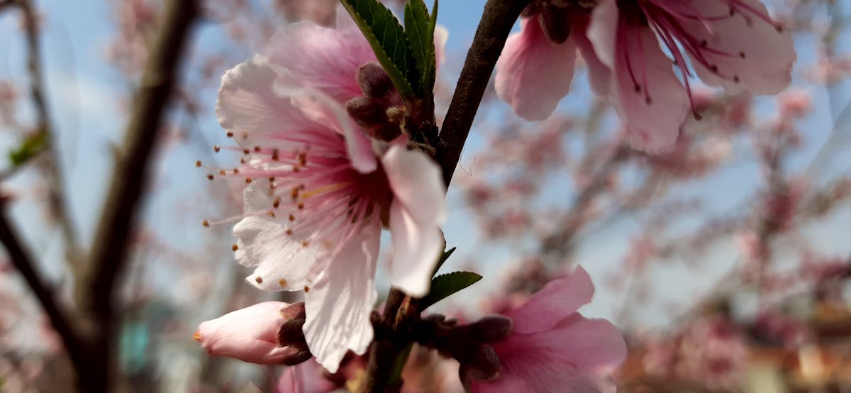 ⚡️ ¡Neta, ¿Por qué No Condenaron el Ataque Irán hace Un Añ...