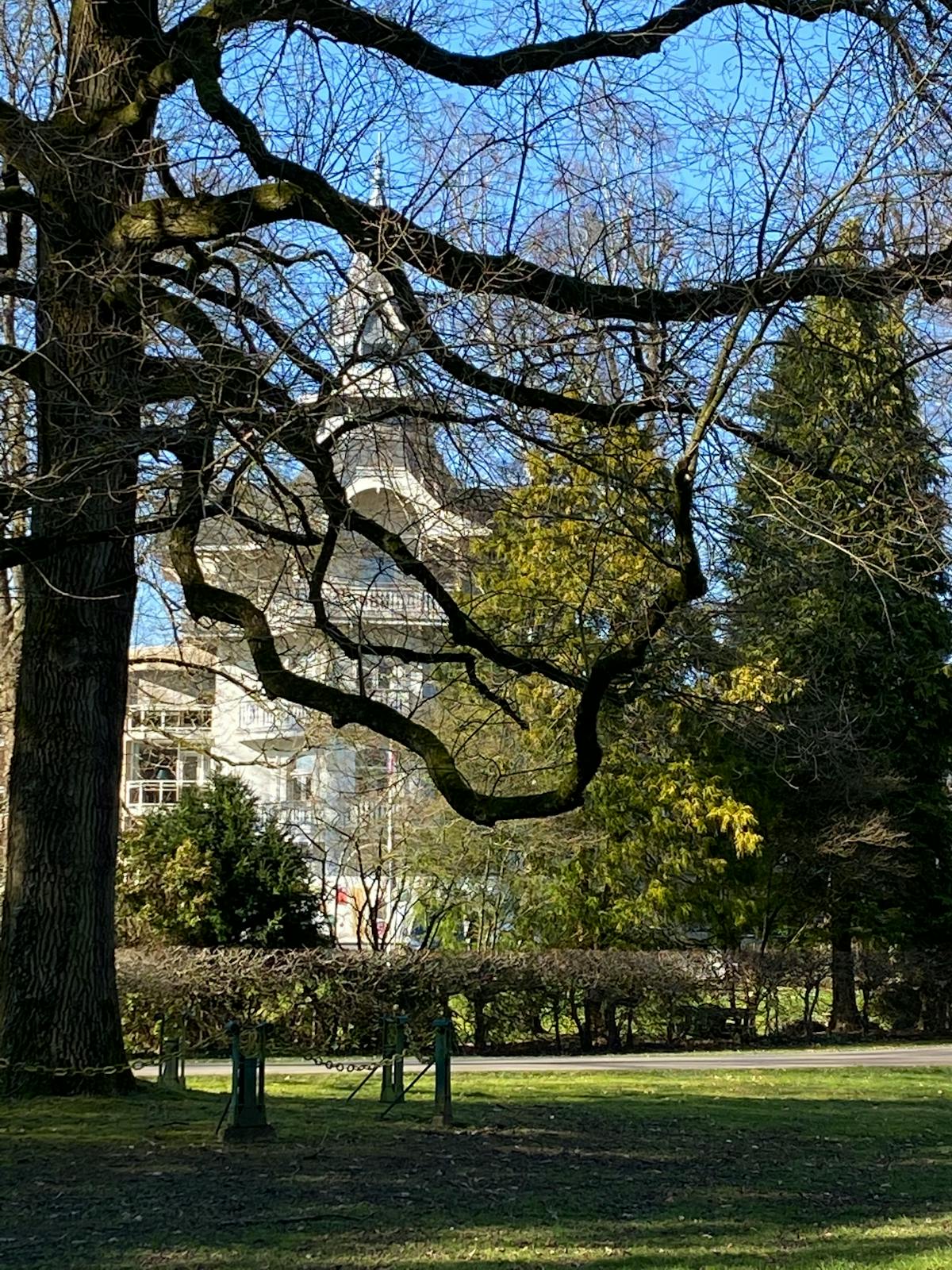 ¿La Ciudad de México se Vuelve una Jaula de Cristal con la...
