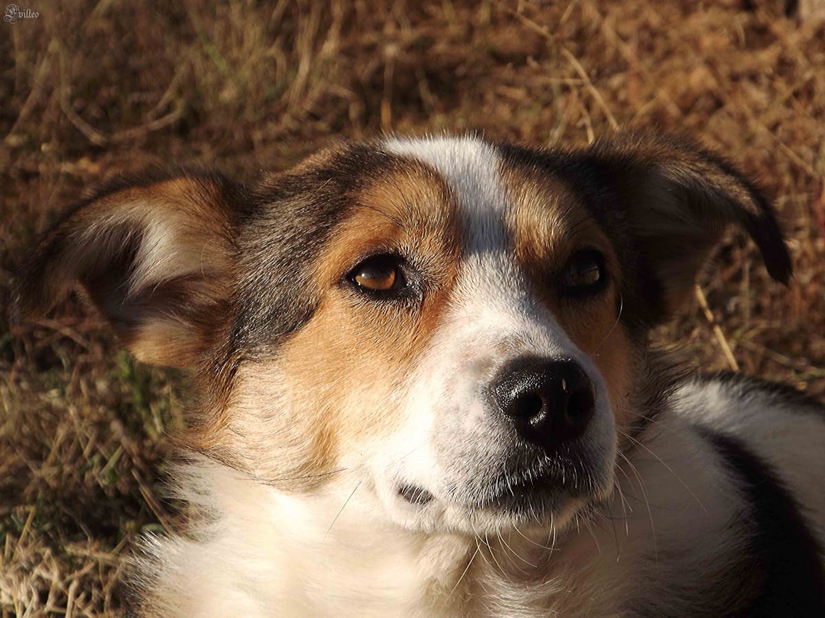 No te pases, ¿Eventos Virtuales son Solo Vaporware? 🚀