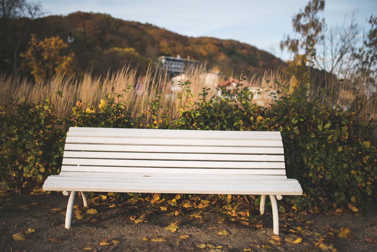 ¿Trump es el Rey del Pollo en la carrera al Fiscal General de ...