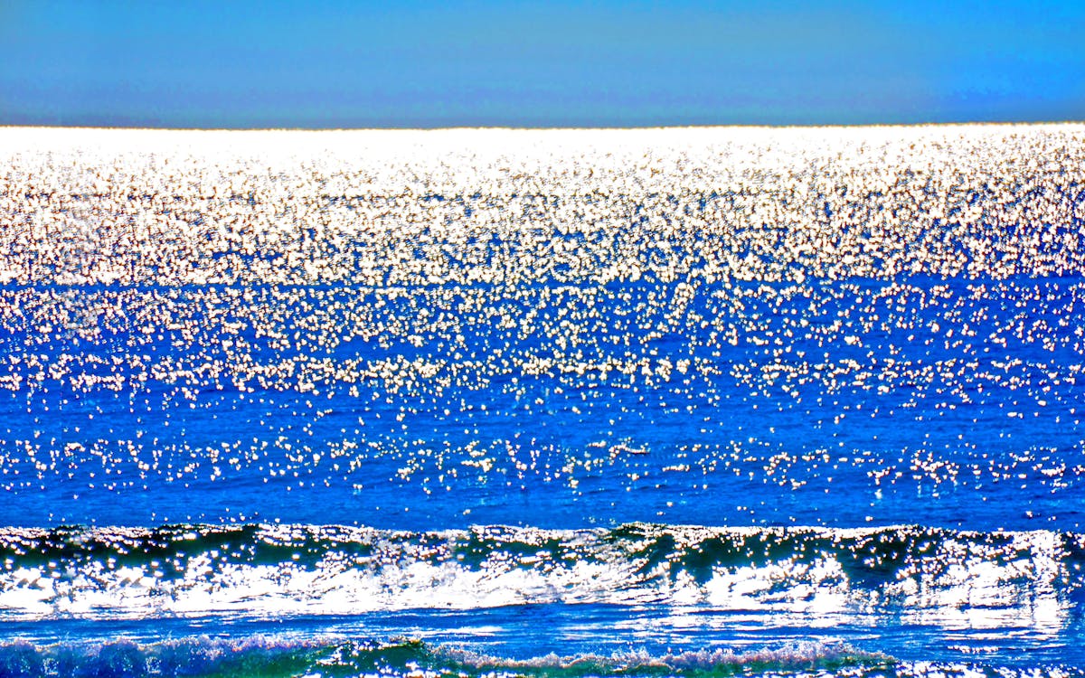 😱 ¡La Salsa se Morirá con Él! Willie Colón ya no existe