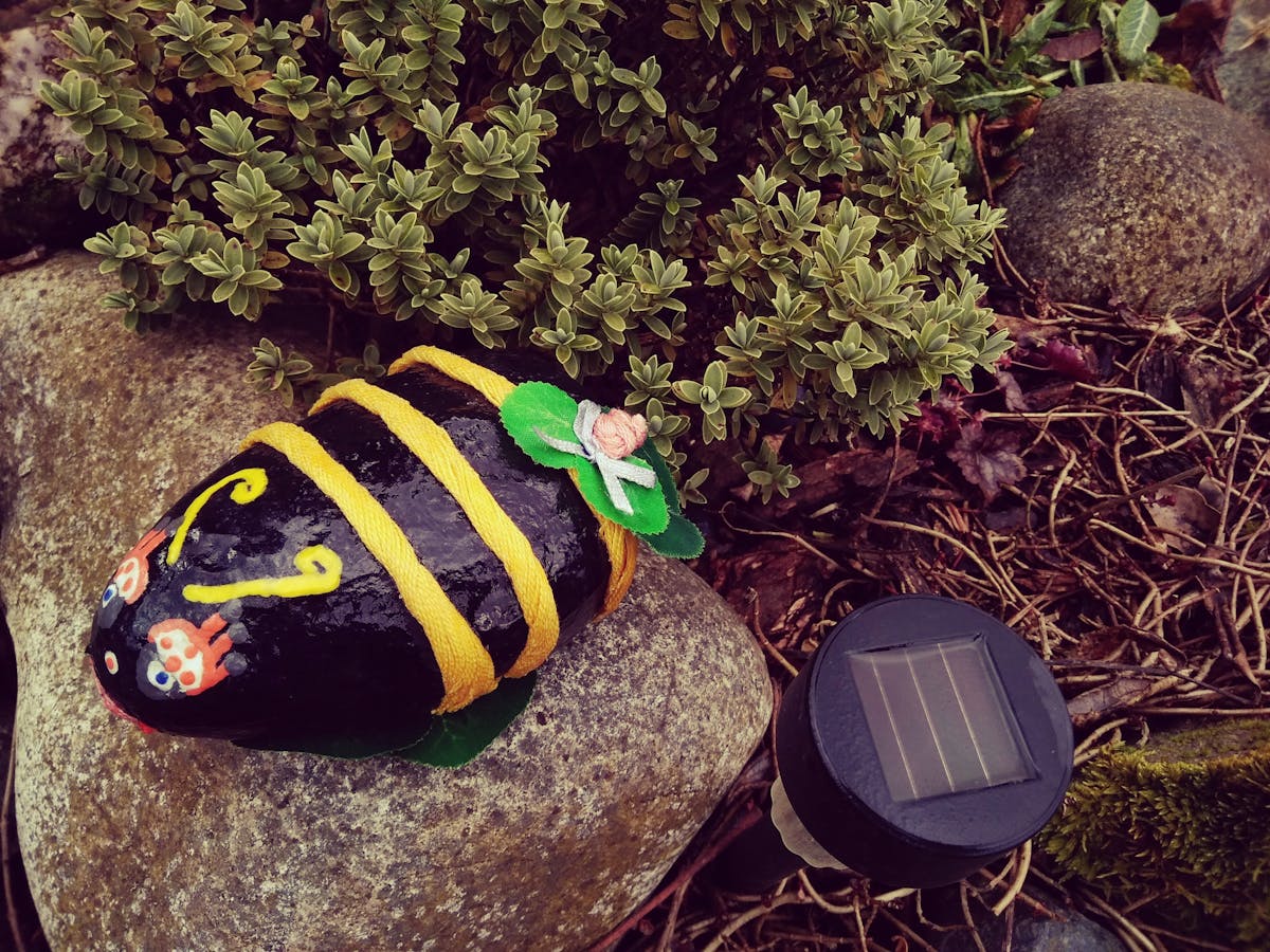 🏠 ¿Tienes un espacio que te da ganas de gritar ¡BAILA, PARED, ...