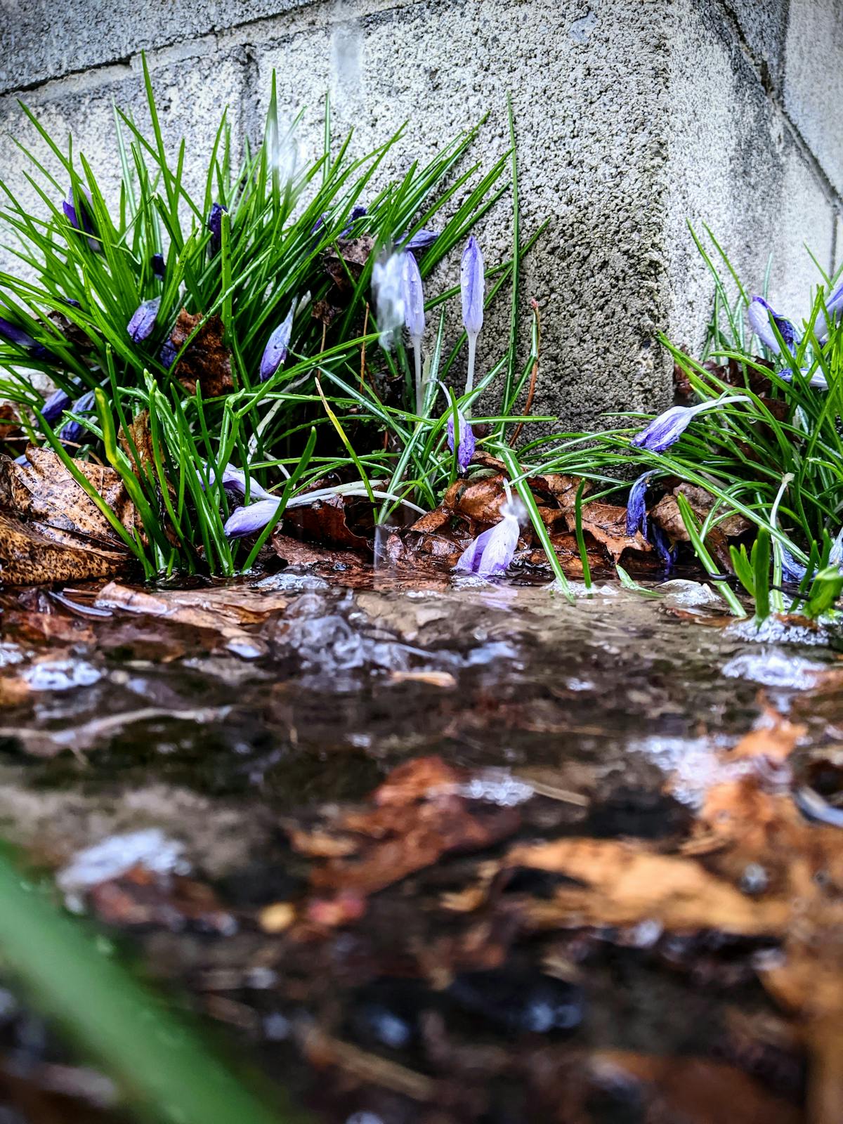 🤯 ¿Tu Emocionismo Es Responsable o Solo Te Hace Mal?