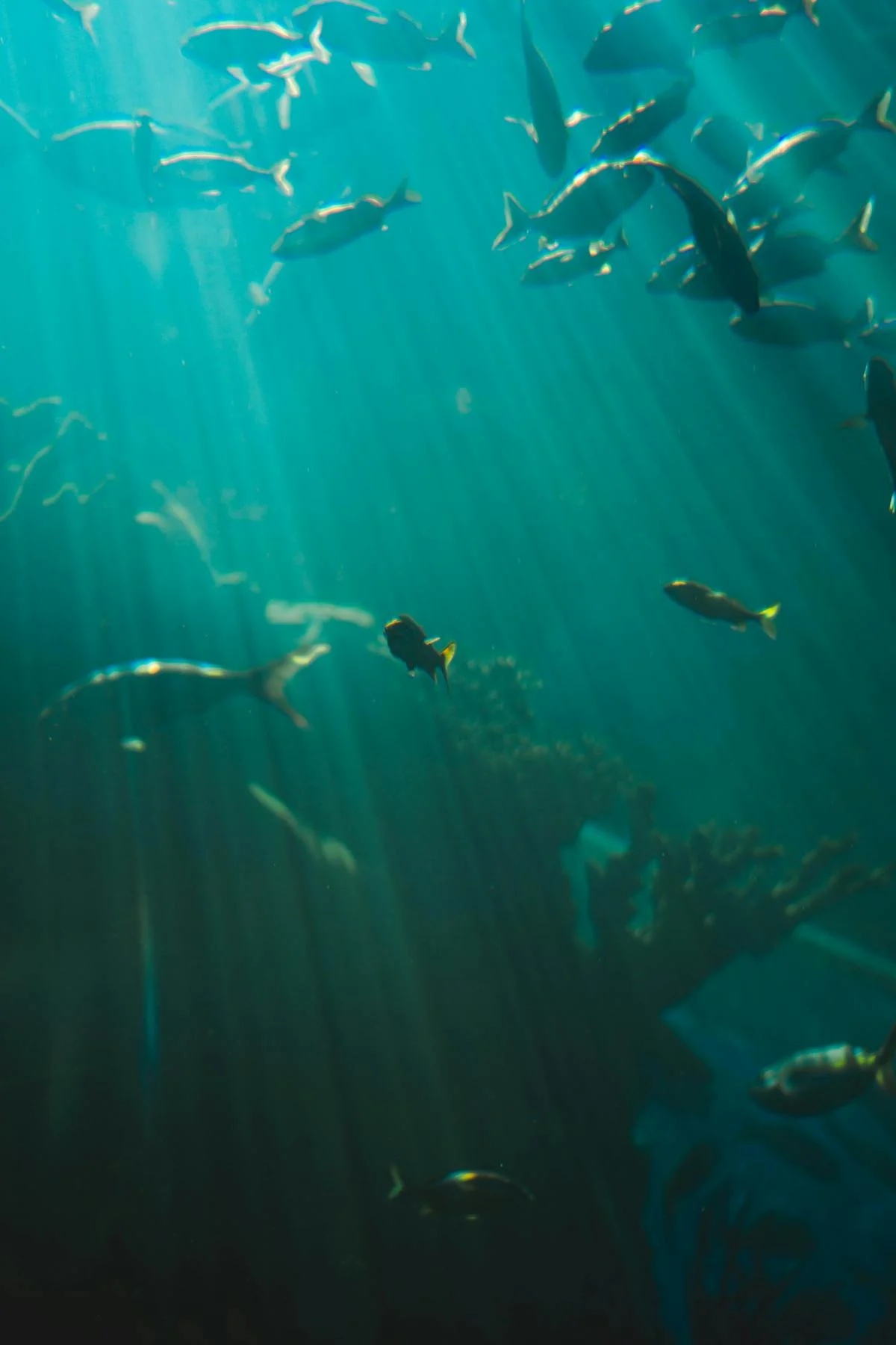 ¿Expedia te está robando dinero o solo es un Chale?