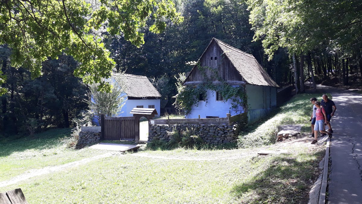 ¡🚨 ¿Qué pasó con la paz fronteriza? Trump cierra puente entre ...
