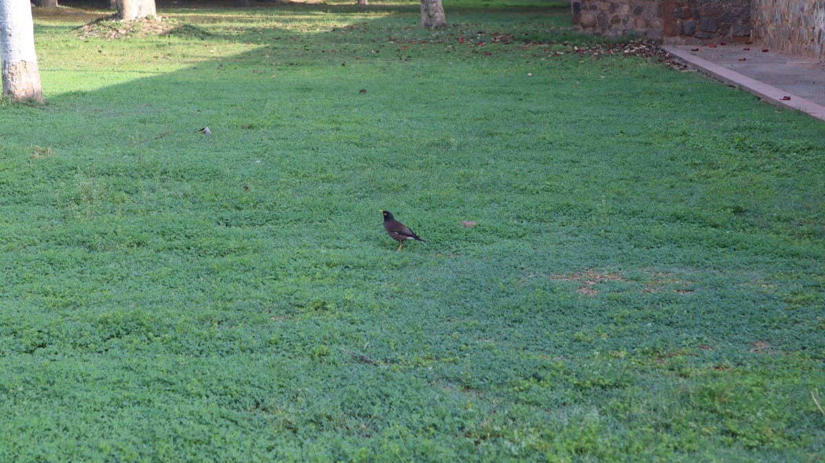 😱 ¿Los Niños de Hoy Necesitan Fuego y Cuchillos o Solo Son...