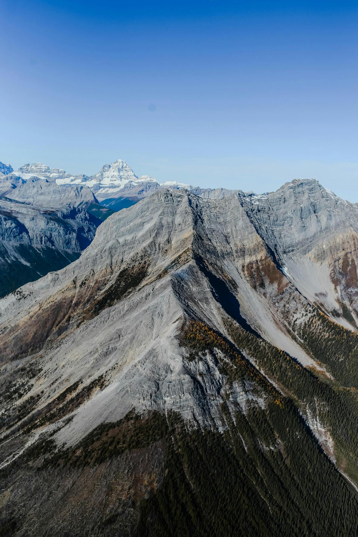 ¿Vacunan o No Vacunan a los Zacangüenses? 🤔